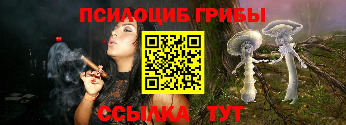 Псилоцибиновые грибы мицелий Городец