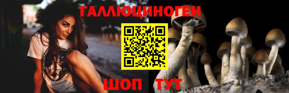 Городец  Псилоцибиновые грибы MAGIC MUSHROOMS  Галлюциногенные грибы Magic Shrooms  Вход с VPN 